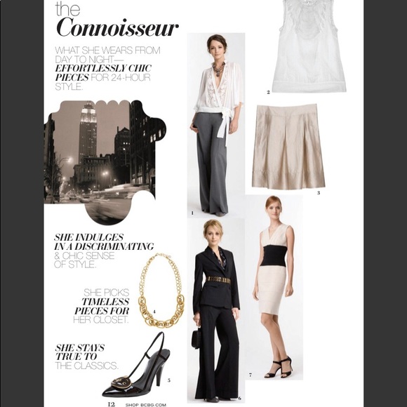 BCBG Champagne Pleated Skirt - Size 2 - Picture 4 of 4